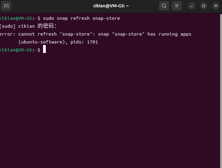 解决Ubuntu更新Snap Store失败插图