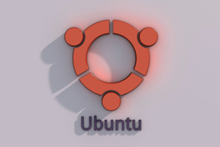 在 Ubuntu 上安装媒体编解码器