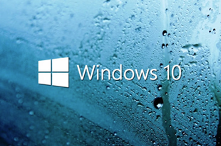 如何关闭 Windows10 搜索框中的热门搜索