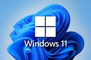 Windows 11 各版本区别对比