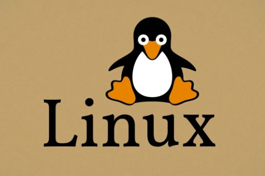如何在 Linux 中清除终端屏幕 / 清屏命令