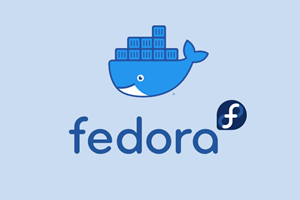 在 Fedora 上安装 Docker 引擎 (Engine)