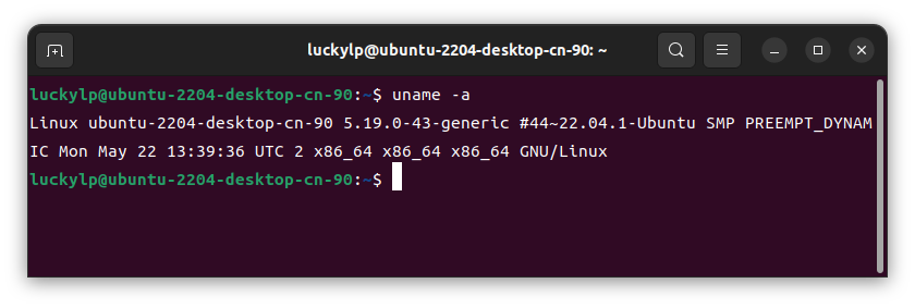 如何查询 Linux 系统中查询发型版本号以及内核版本插图3