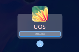 解决 UOS 在 VM 虚拟机中无法与物理主机粘贴复制