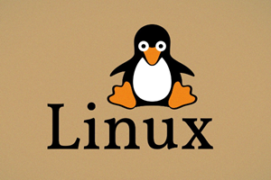 Linux 常用命令 - cp 命令详解