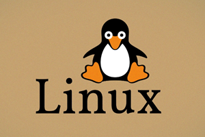 Linux 常用命令 - cat 命令详解