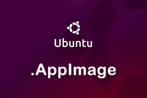 如何在 Linux 中使用 AppImage [完整指南]
