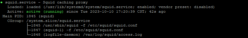 如何在 CentOS 7上安装 Squid 代理服务插图1