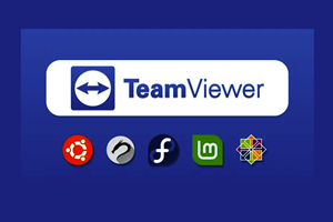 如何在 Linux 上安装和使用 TeamViewer