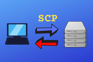 Linux 常用命令 - scp 命令详解