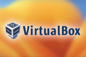 VirtualBox 共享文件夹给 Linux 并实现开机自动挂载