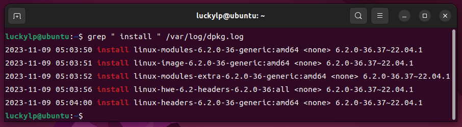 如何列出 Ubuntu 和 Debian 上安装了哪些软件包插图6
