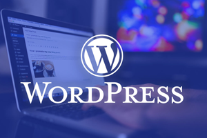 WordPress开启友情链接 设置横向排列