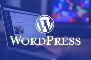 在 WordPress 区块编辑器(古腾堡) 中自定义内联代码样式 