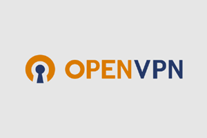 如何给 Debian 系统安装 OpenVPN 协议