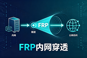 Frp 高效的内网穿透工具-服务端安装教程（frps）